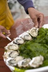 Foto #55 van Camping Domaine Sainte Veziane