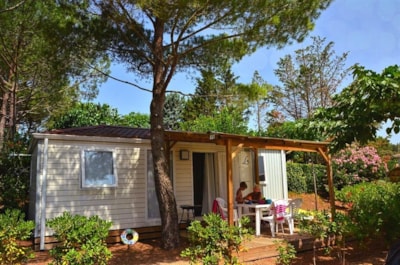 M-Home PREMIUM 2 br - 31m² — 1