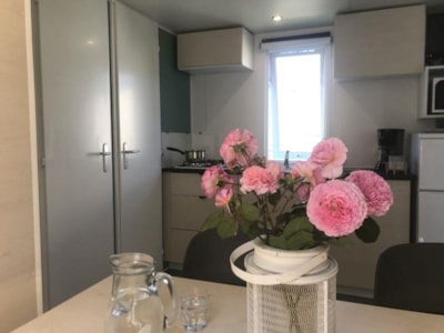 Mobile home Adriatique 2 bedrooms — 5