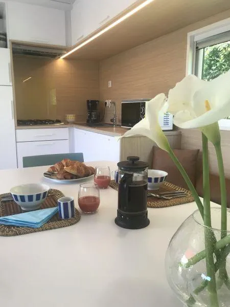 C- Mobil-Home Méditerranée 3 Chambres