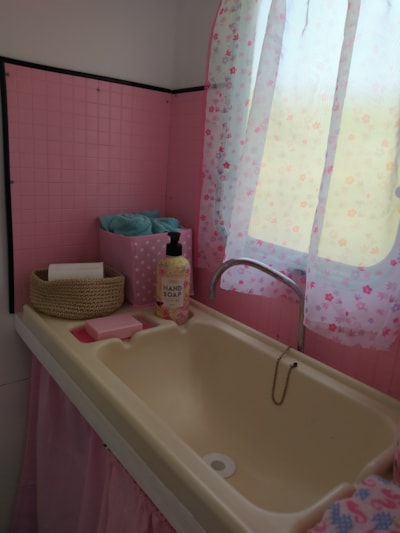 Vintage Cotton Candy Caravan