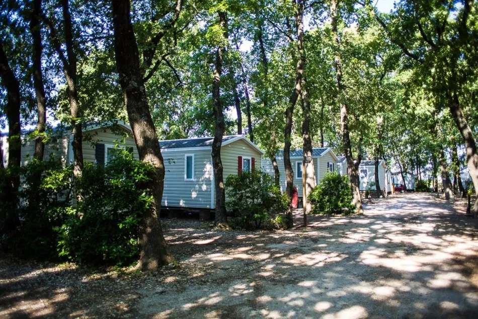 Camping Le Bois des Ecureuils