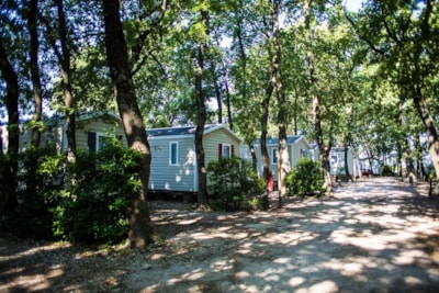 Camping Le Bois des Ecureuils