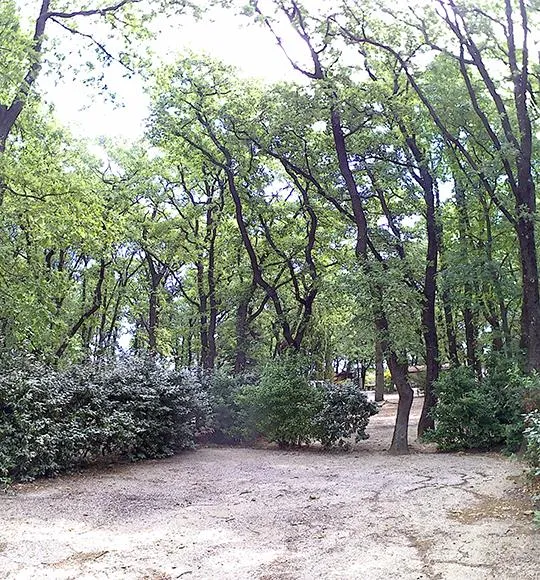 Emplacement 1 Tente Ou 1 Caravane Ou 1 Camping-Car + 1 Voiture + Électricité Incluse