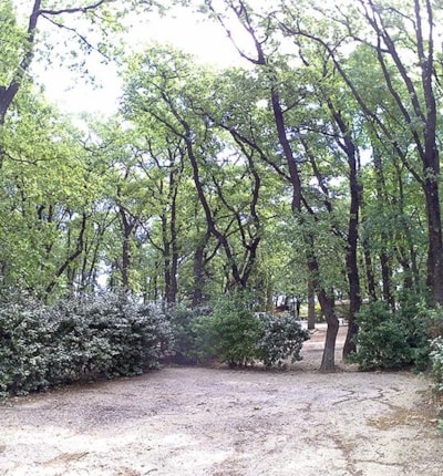 Pitch 1 tent or 1 caravan or 1 camping-car + 1 car + Electricity — 2