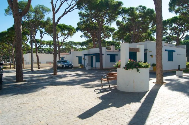 Camping Pinar de San José