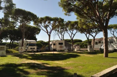 Camping Pinar de San José - image n°2 - Camping Direct