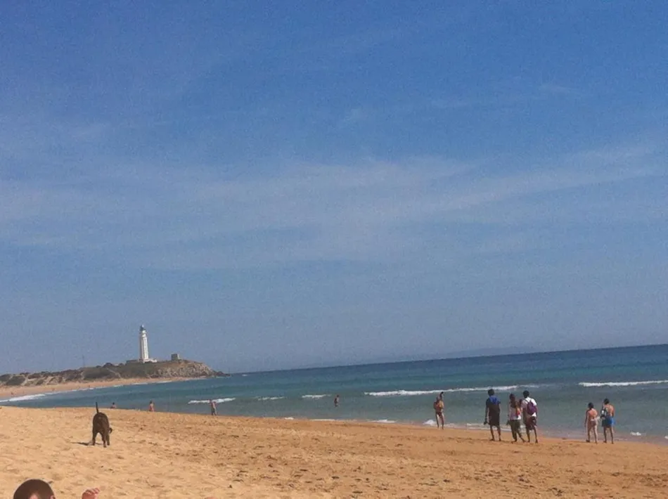 Camping Pinar de San José