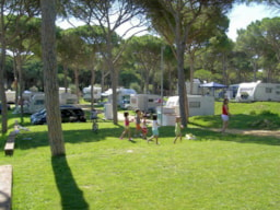 Stellplatz - Stellplatz Standard: 2 + Auto + Zelt + Strom - Camping Pinar de San José