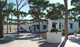 Alloggio - Bungalow - Camping Pinar de San José