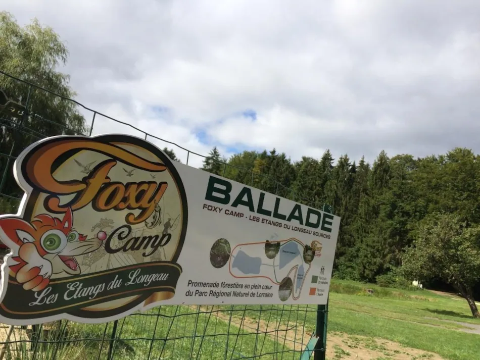 Camping Foxycamp