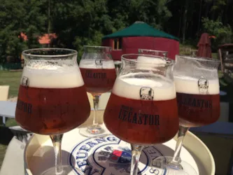 Camping Foxycamp - image n°3 - Camping Direct