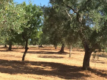 Resort Naturista Grottamiranda - MyCamping