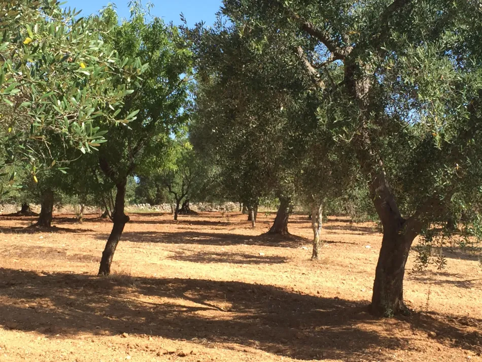 Resort Naturista Grottamiranda