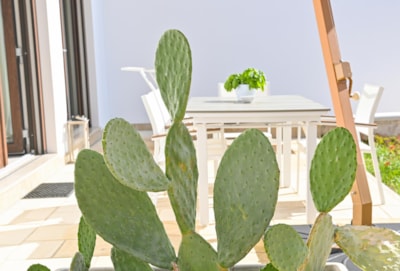 Mesagne 33 sqm — 9
