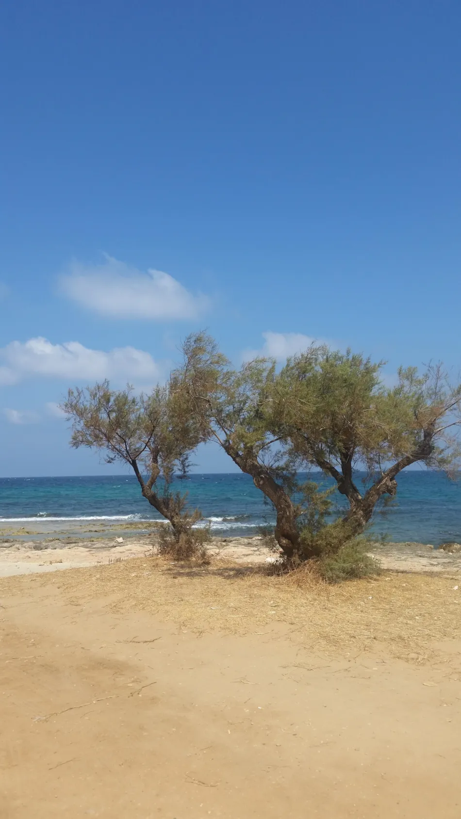 Resort Naturista Grottamiranda