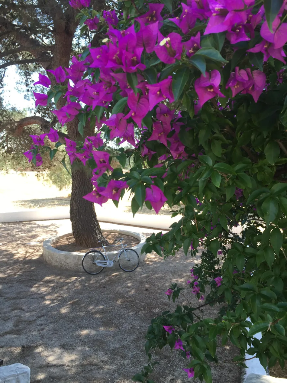 Resort Naturista Grottamiranda