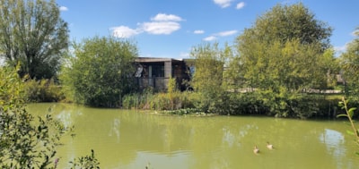Premium Pondside Cottage 3 bedrooms, 2 bathrooms