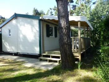 Mietunterkunft - Chalet Crl 36M² - 3 Zimmer - Camping La Pinède