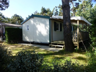 CRL chalet, 36m² - 3 bedrooms - covered terrace — 7