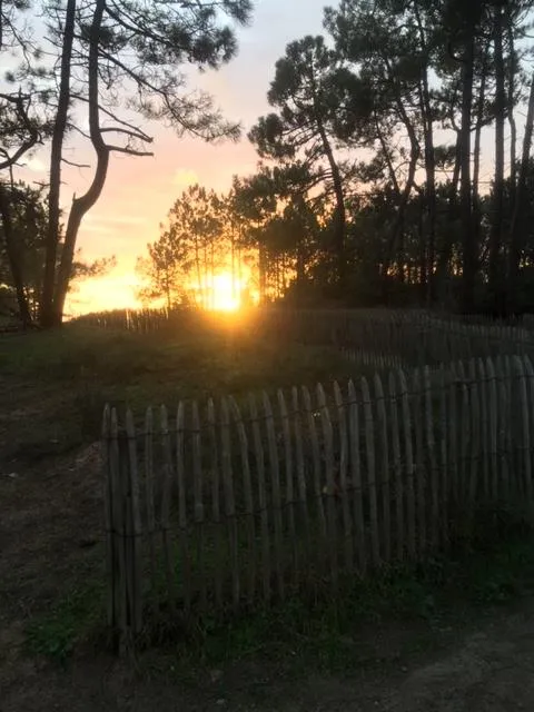 Camping La Pinède