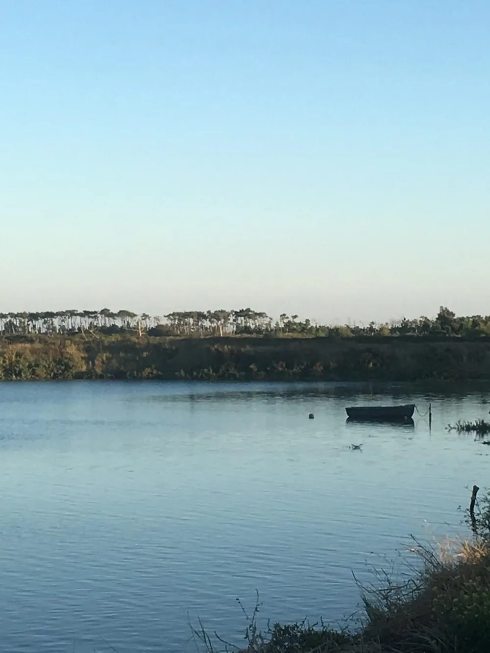 Camping La Pinède