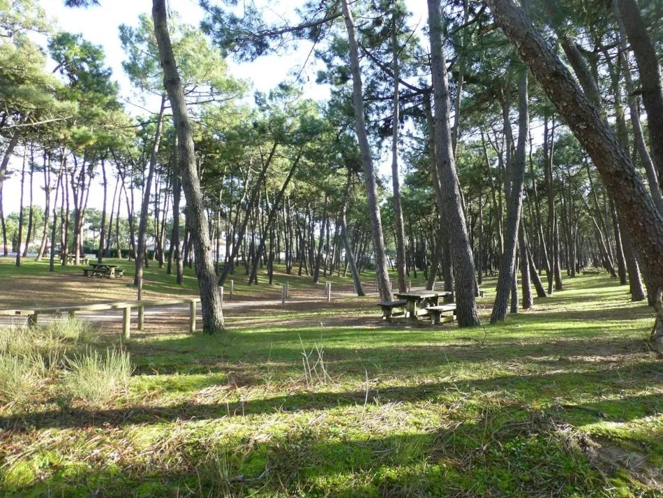 Camping La Pinède