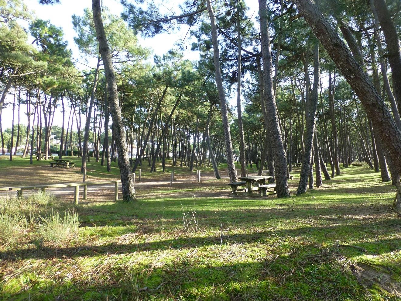 Camping La Pinède — Photo 4