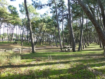 Camping La Pinède