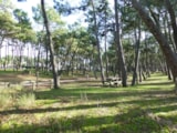 Foto #4 van Camping La Pinède
