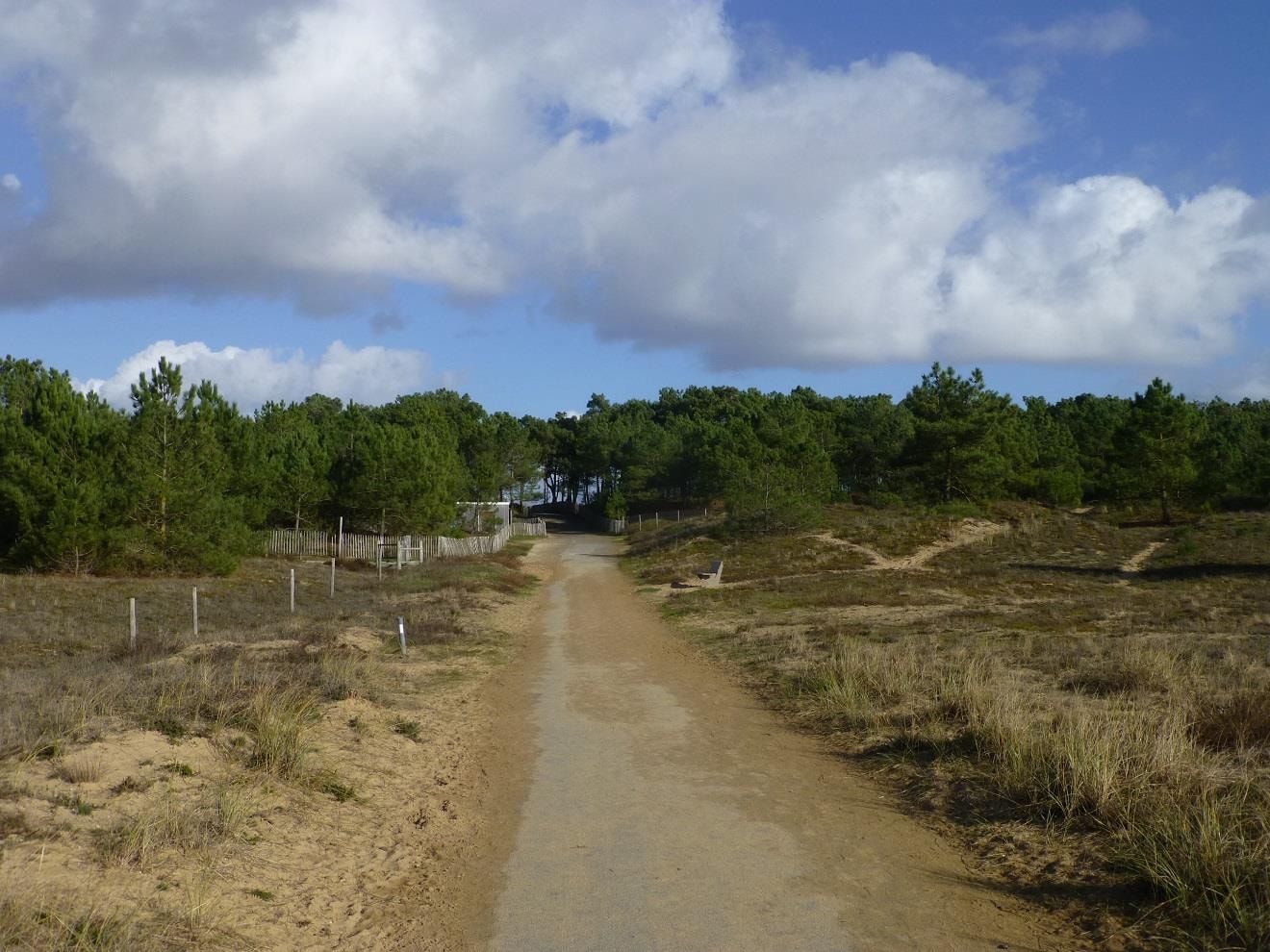 Camping La Pinède — Photo 6