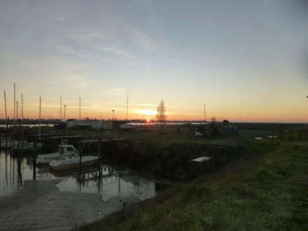 Camping La Pinède - image n°1 - Camping Direct