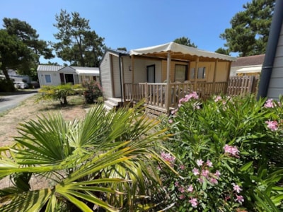 Mobile home 32-35m² - 3 bedrooms - covered wooden terrace — 1