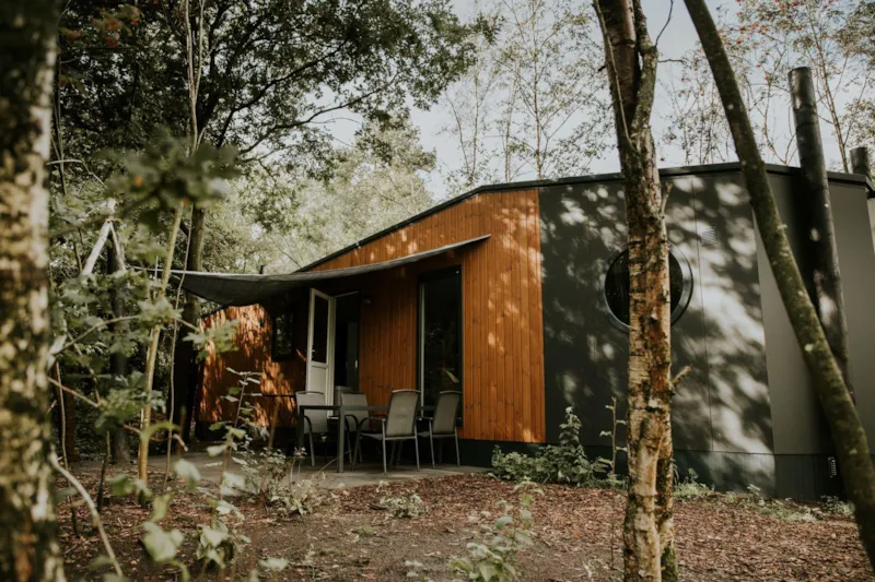 Happy Bee Insectenlodge