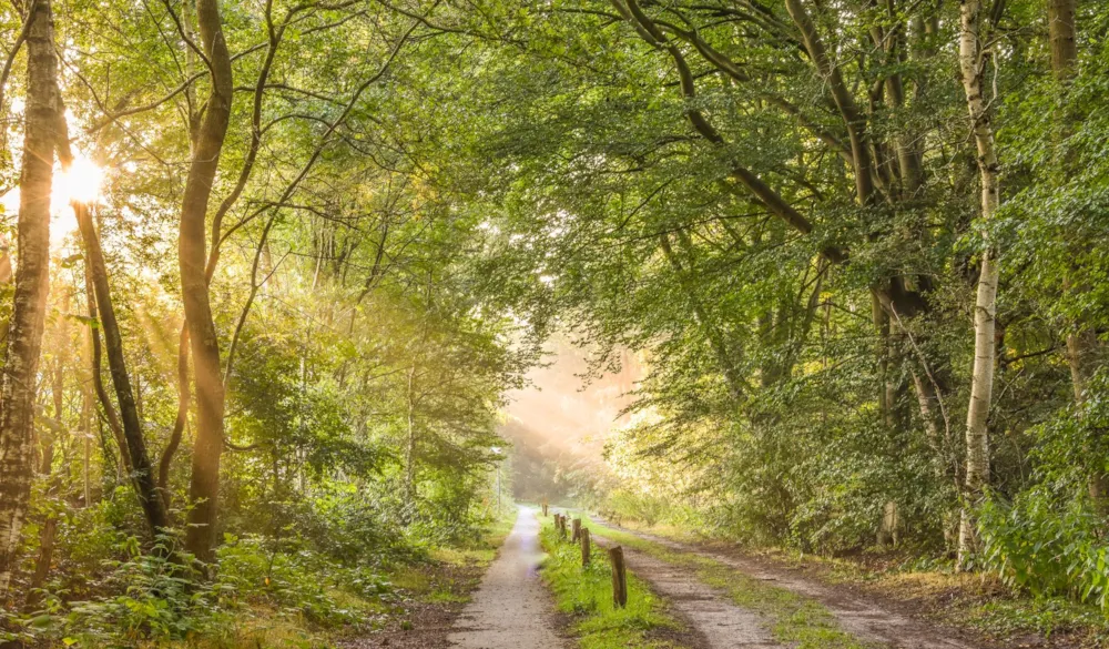 Camping Si-Es-An - image n°31 - UniversalBooking