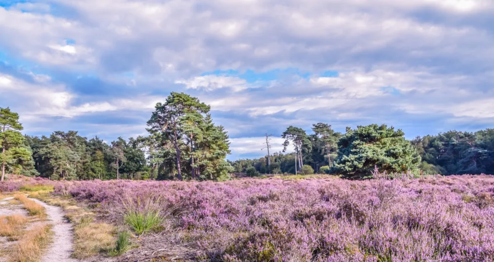 Camping Si-Es-An - image n°32 - UniversalBooking