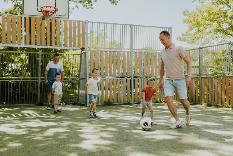 Happy Bee Insectenlodge