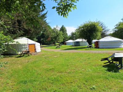 yurt