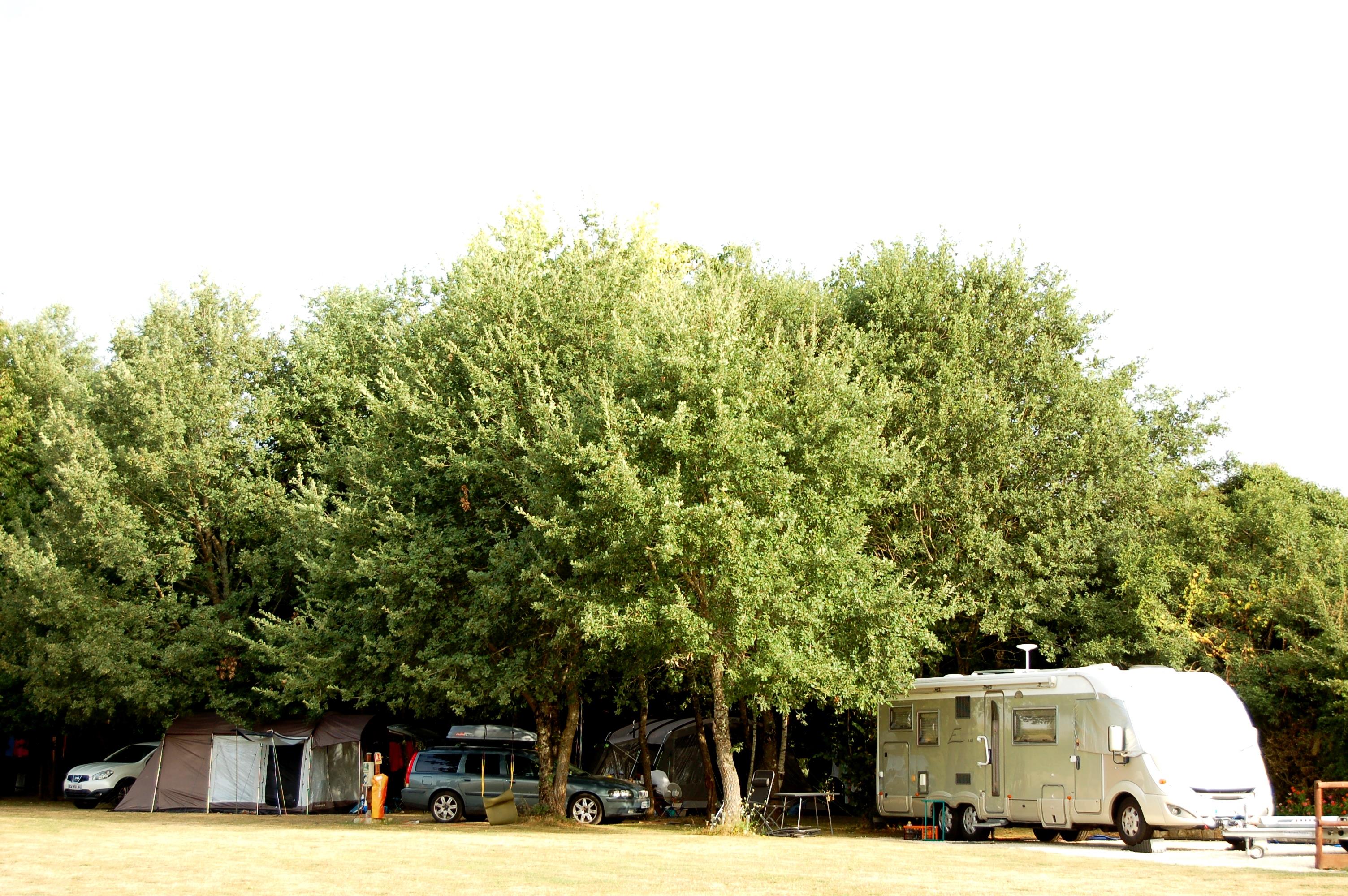 Emplacement - Forfait Privilège (Caravane Ou Camping-Car / 1 Voiture ) + Raccordement Eau Et Évacuation Des Eaux Usées - Camping La Forêt de Tessé