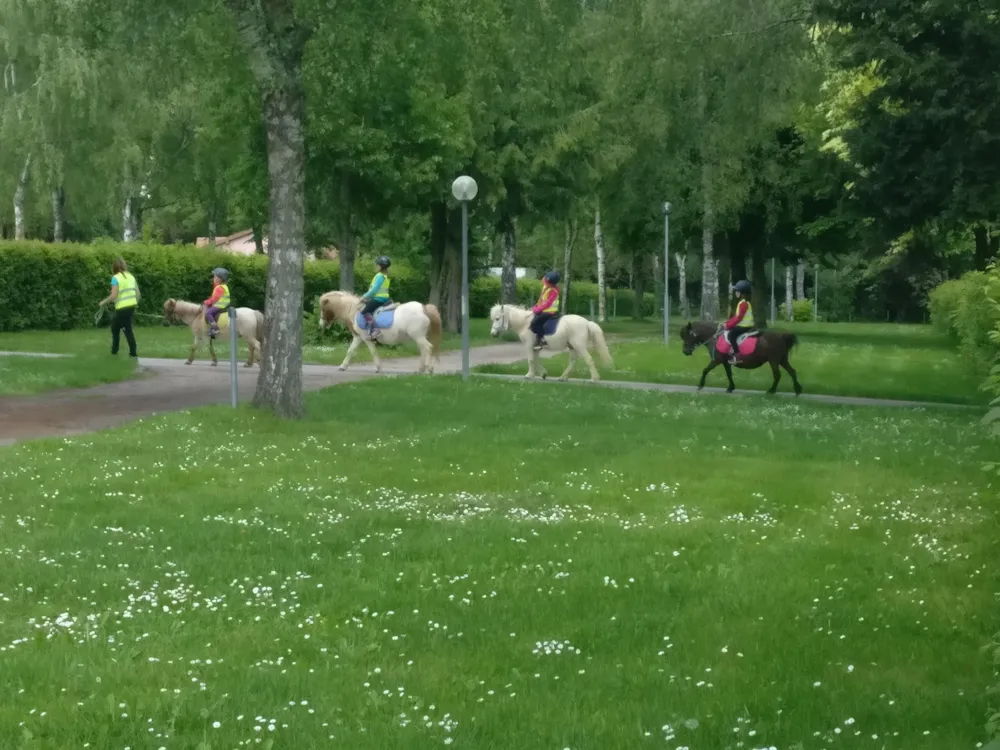 Camping Belle-Vue 2000 - image n°5 - UniversalBooking