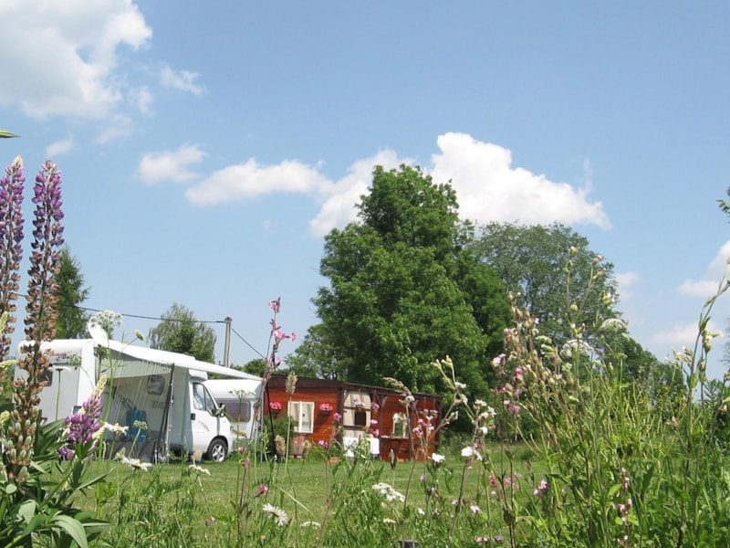 Emplacement : voiture + tente/caravane ou camping-car