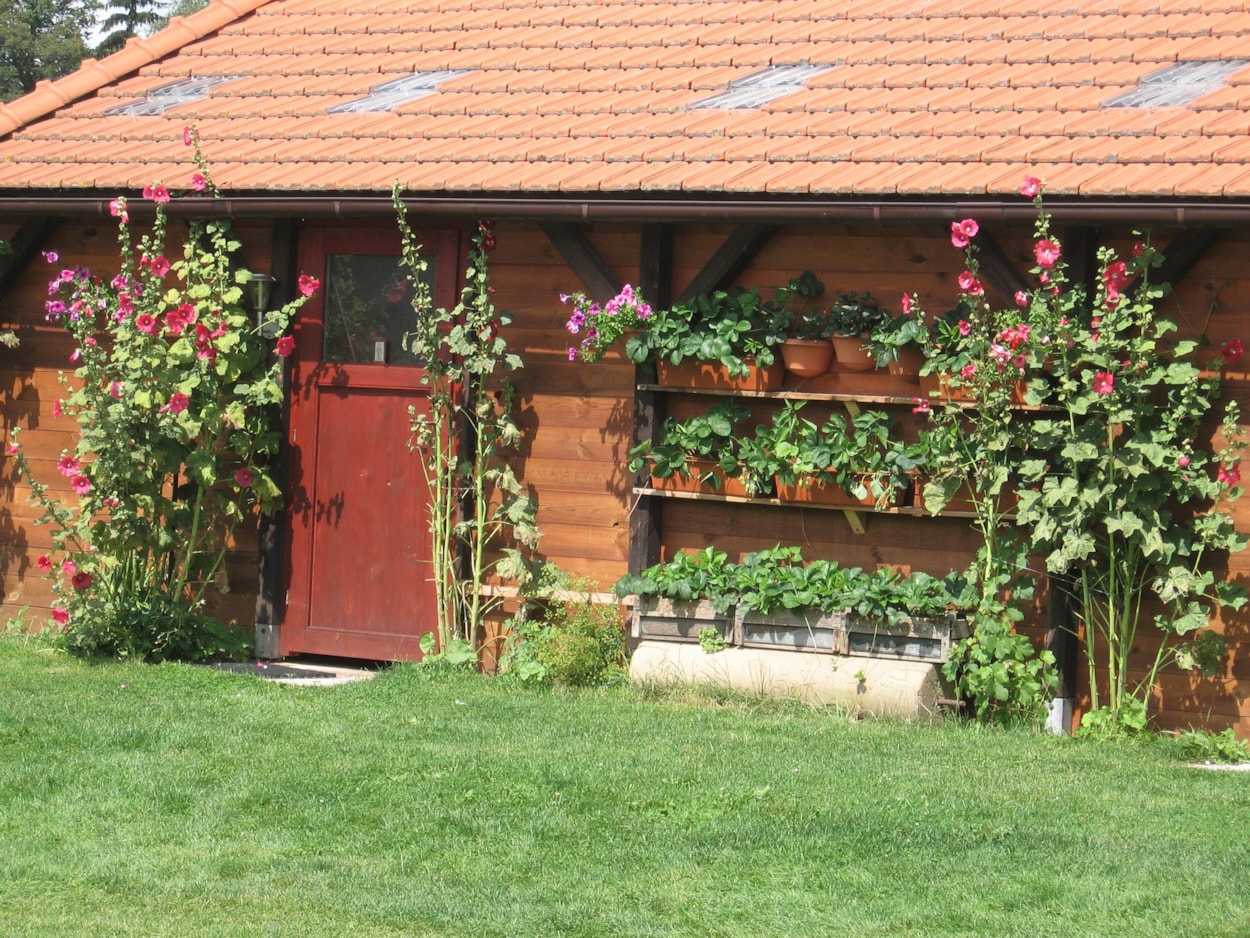 Camping Aktief