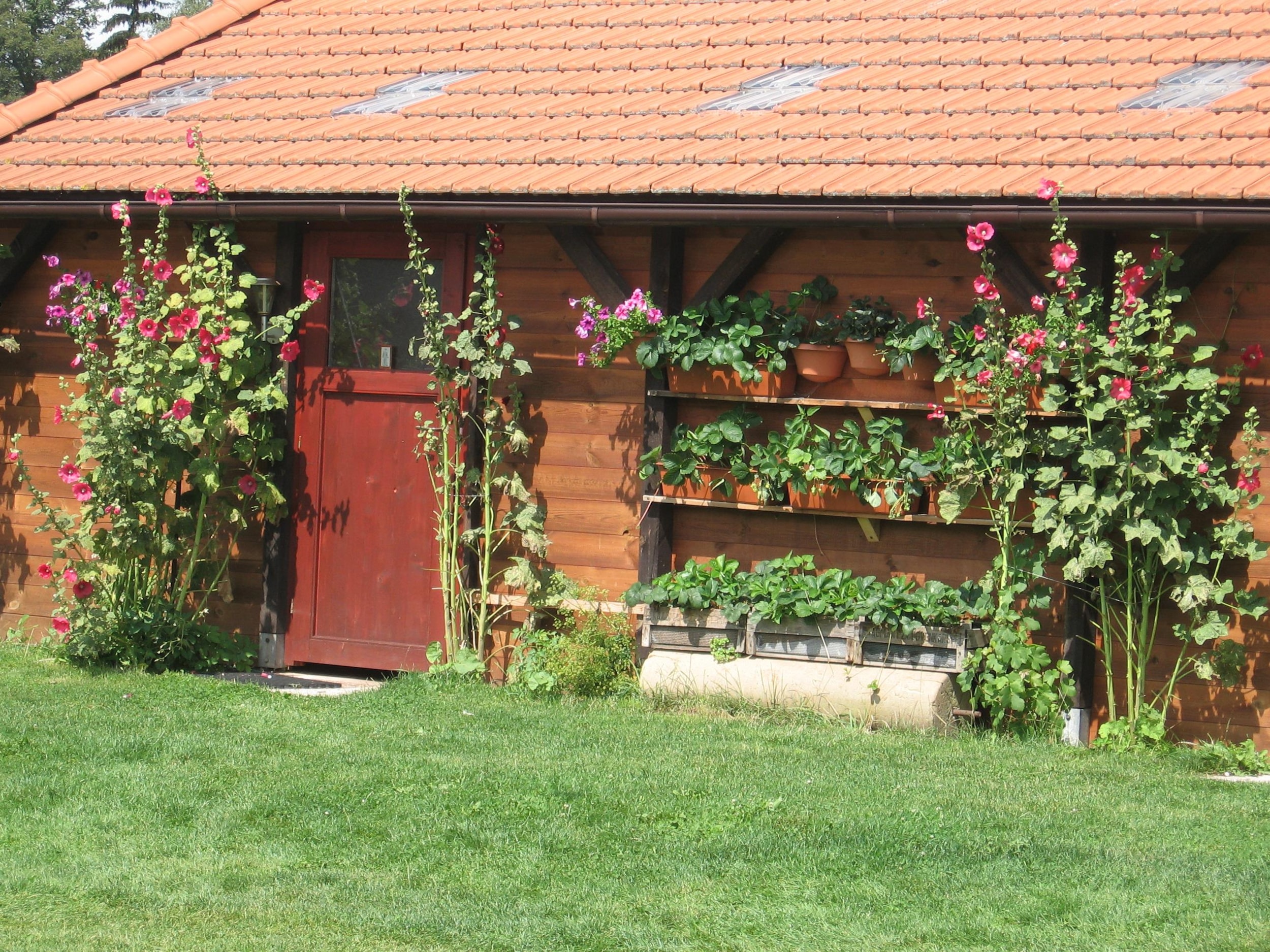 Camping Aktief — Foto 1
