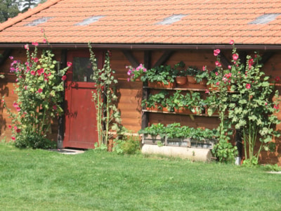Camping Aktief