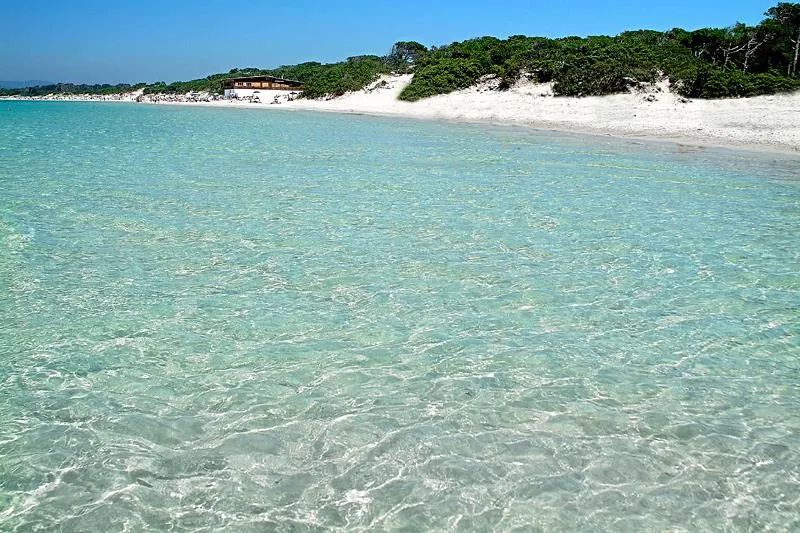 I Platani Area Camper