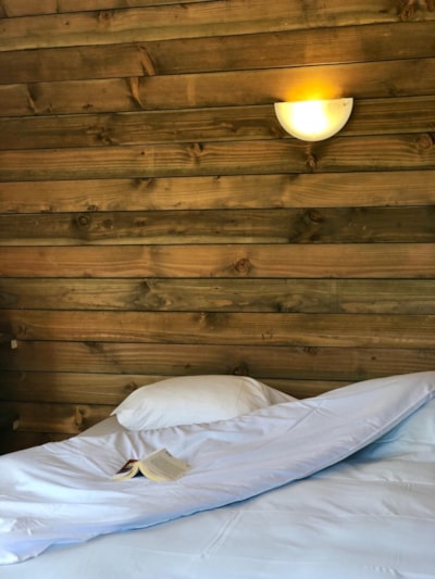 The Cabin - Birdhouse — 2