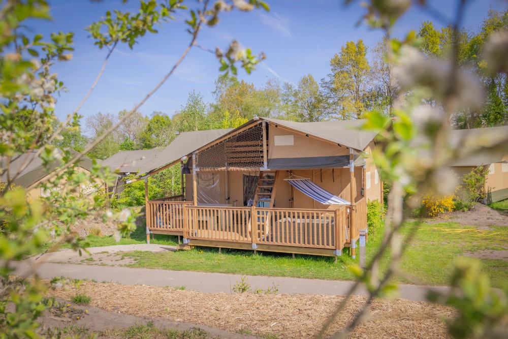 Accommodation - 6-Person Ranger Lodge - Vakantiepark Sallandshoeve