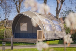 Location - Big Oak Tent - Vakantiepark Sallandshoeve