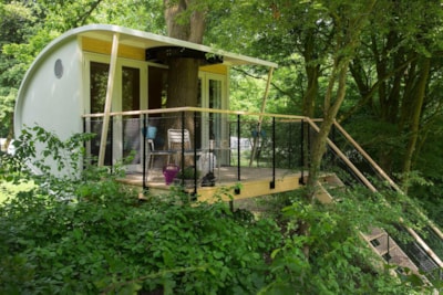 Cabin in the trees Suite — 4