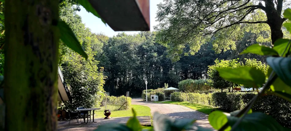 Buytenplaets Suydersee